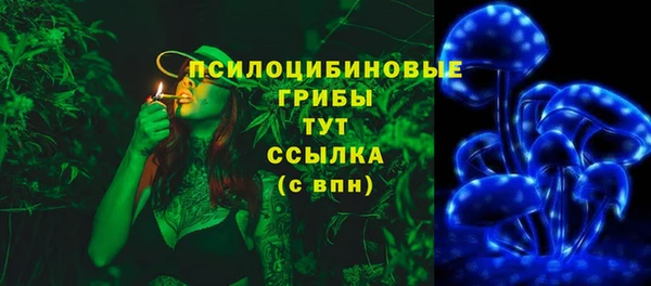 мет Кинешма