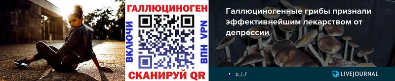Галлюциногенные грибы MAGIC MUSHROOMS  Купить закладки  Азов 